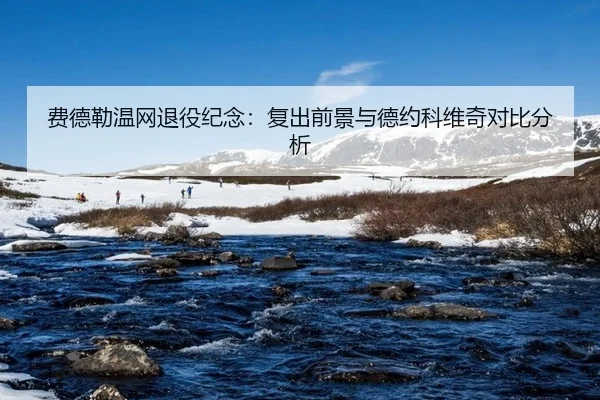 fei-de-lei-wen-wang-tui-yi-ji-nian-fu-chu-qian-jing-yu-de-yue-ke-wei-qi-dui-bi-fen-xi-2-994.jpg