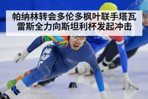 帕纳林转会多伦多枫叶联手塔瓦雷斯全力向斯坦利杯发起冲击
